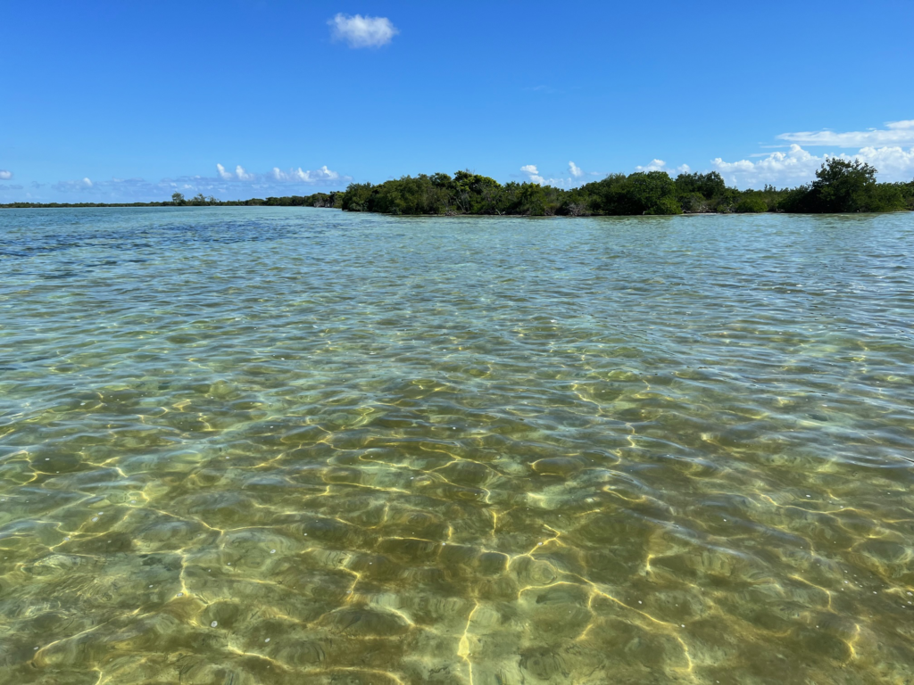 views of the beach