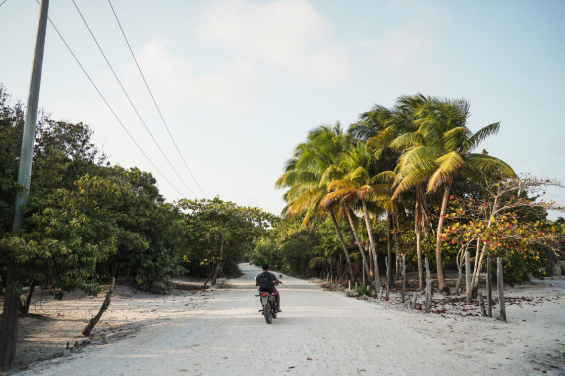 When to Go Fly Fishing in Xcalak: What Each Season is Like