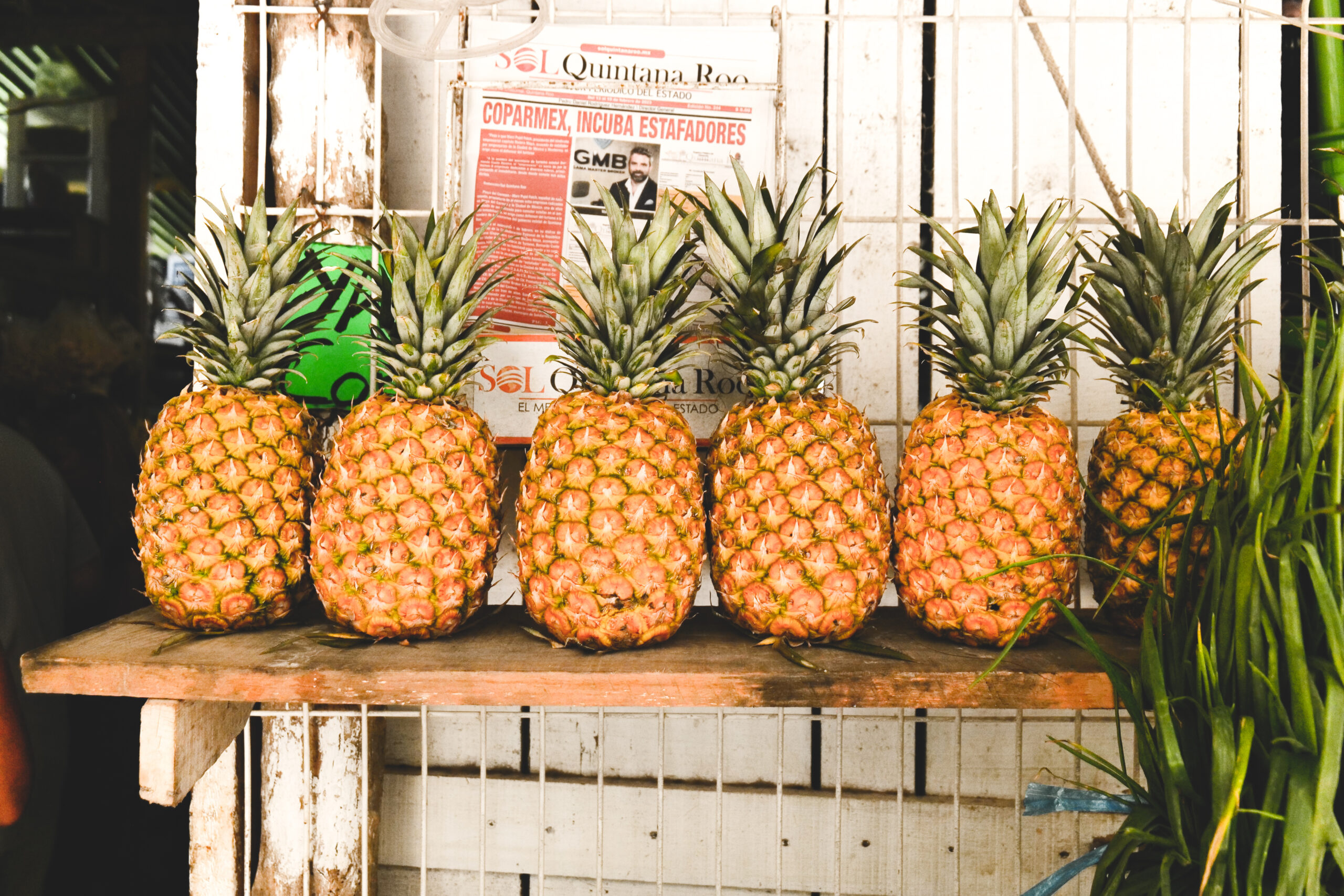 What to Do When the Fish Aren’t Biting in Xcalak