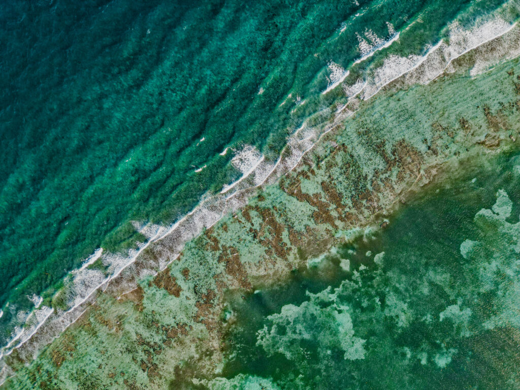 drone shot of the water