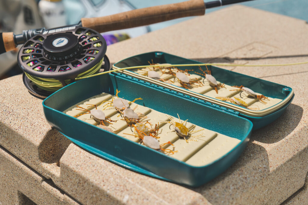 fishing pole and fly box