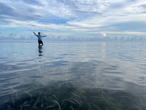 Barracuda on the Fly: How to Target these Toothy Critters