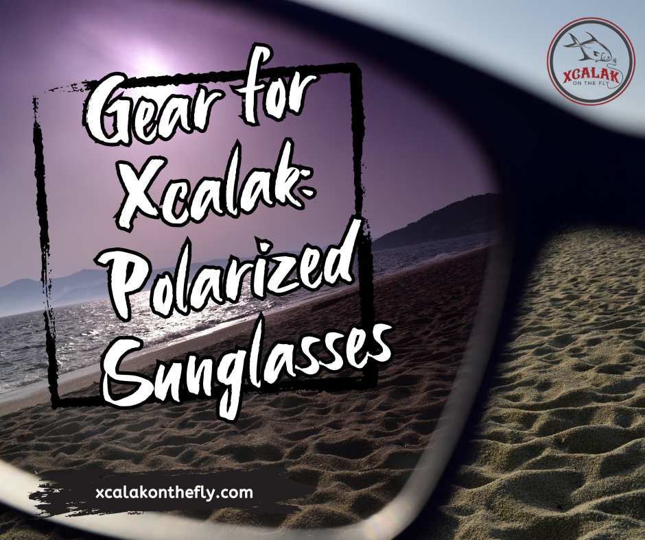 Gear for Xcalak: Polarized Sunglasses