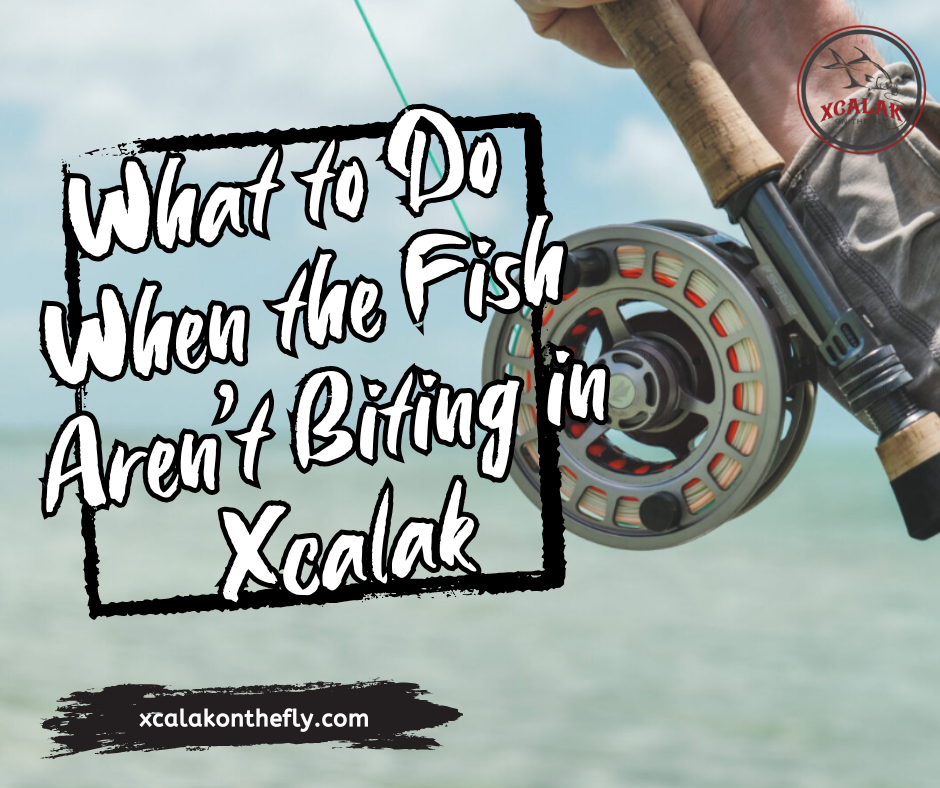 What to Do When the Fish Aren’t Biting in Xcalak