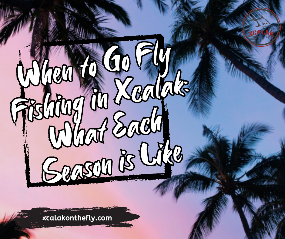 When to Go Fly Fishing in Xcalak: What Each Season is Like