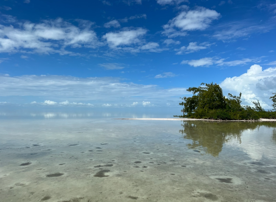 Understanding the Xcalak Flats Lagoons, Channels, and Open Coastlines