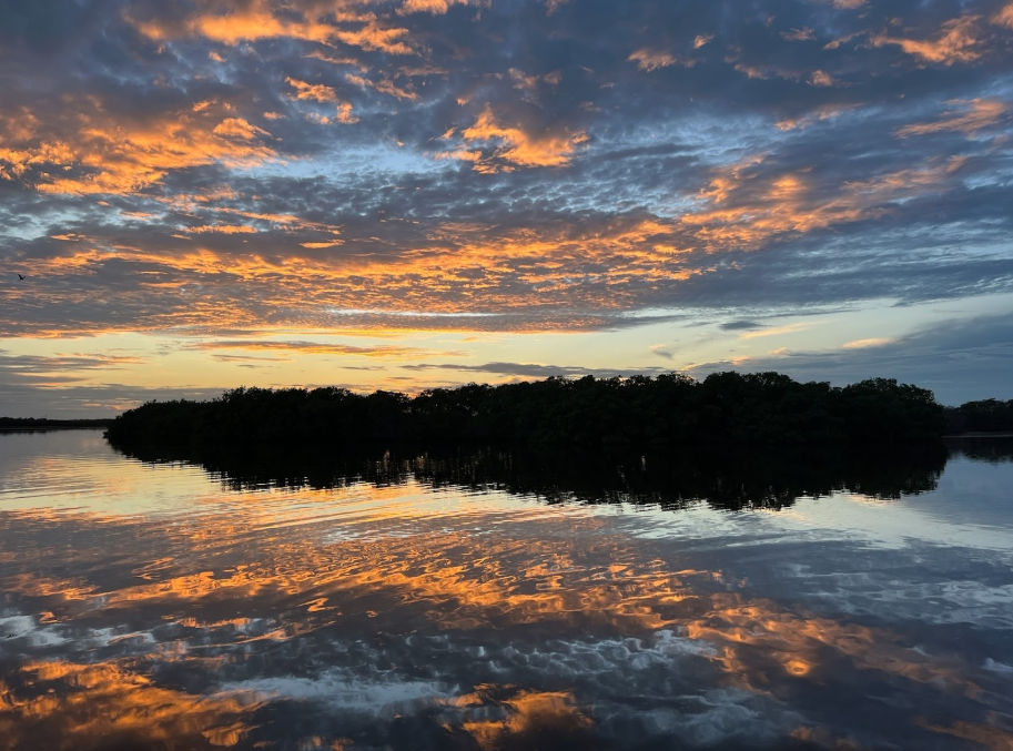 Why Xcalak Is a Top Flats Fishing Destination