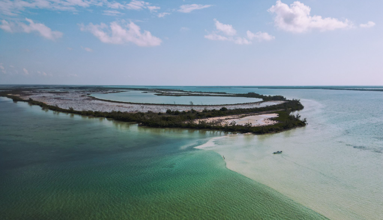 Conservation and Catch-and-Release on the Flats: Why It Matters