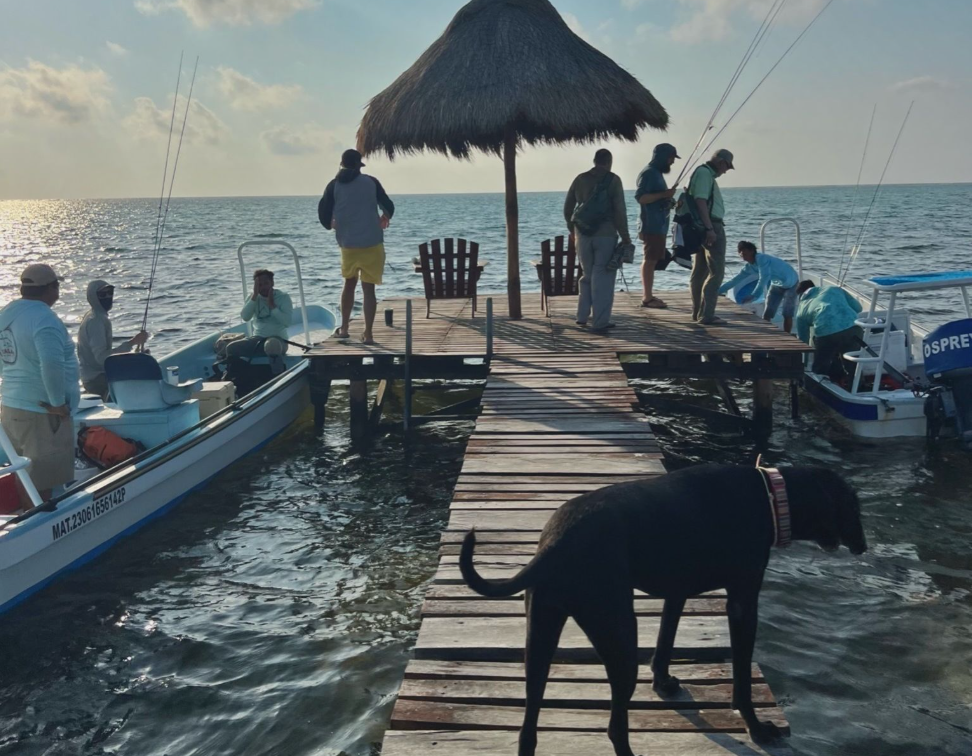 Weather, Seasons, and Expectations: Understanding the Variables in Flats Fishing